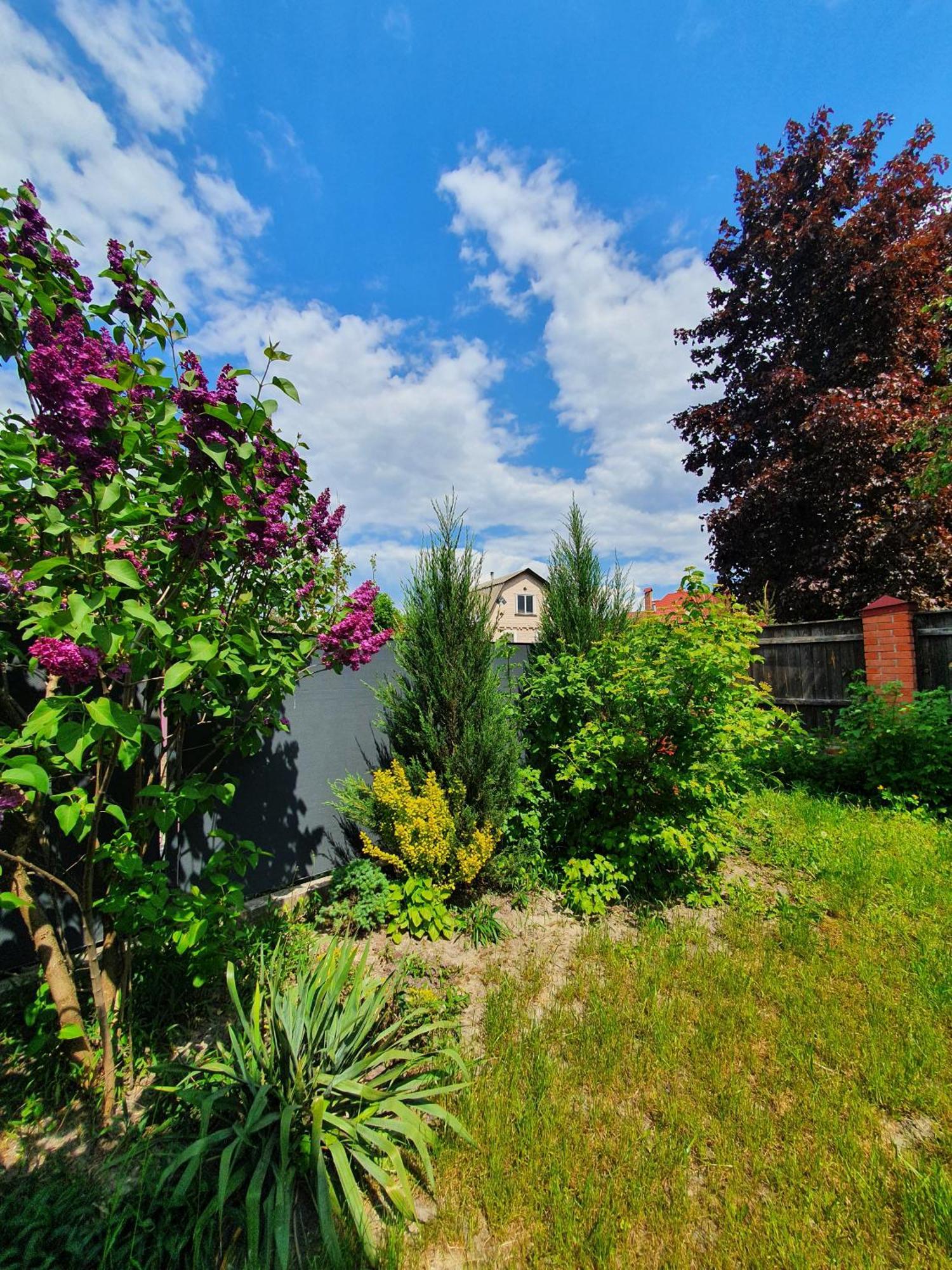 Dacha Koncha Zaspa Kozyn Buitenkant foto
